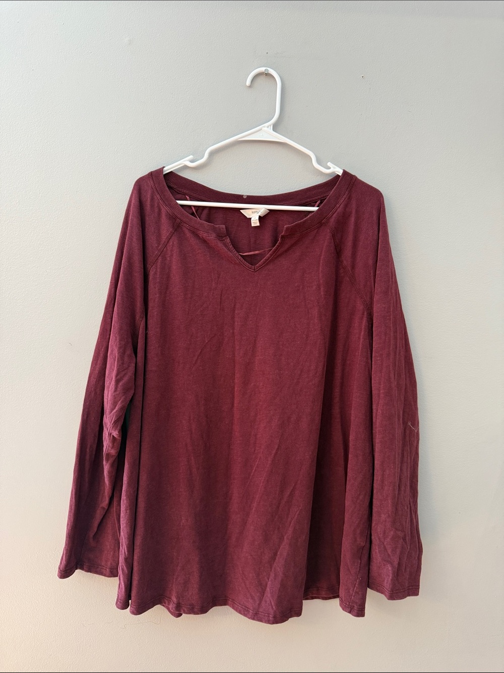 Terra & Sky Long-Sleeve V-Neck Top in Burgundy